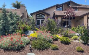 drought-resistant landscape example